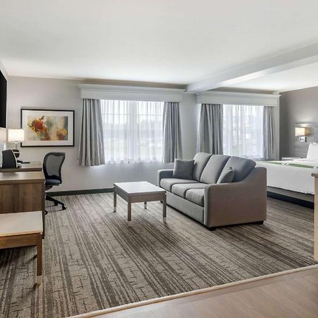 Quality Inn & Suites Amsterdam Fredericton Buitenkant foto