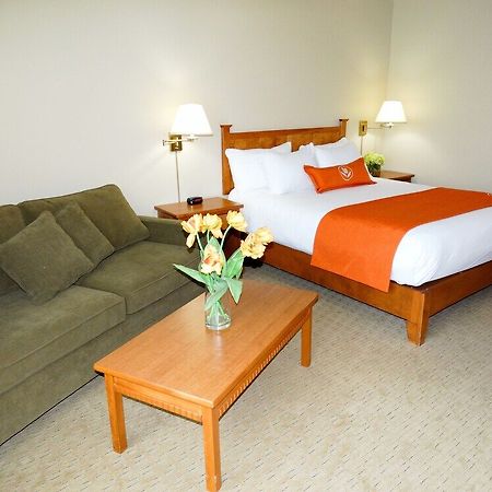 Quality Inn & Suites Amsterdam Fredericton Buitenkant foto