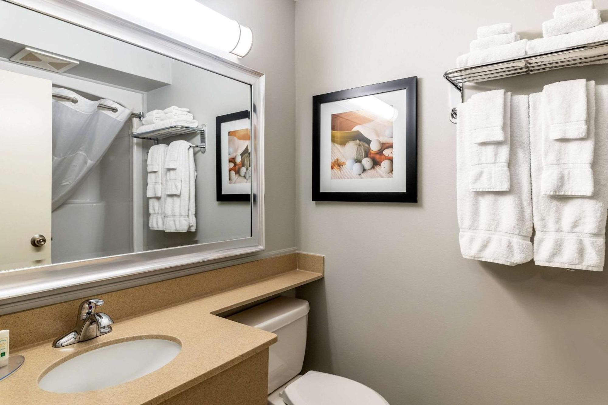 Quality Inn & Suites Amsterdam Fredericton Buitenkant foto