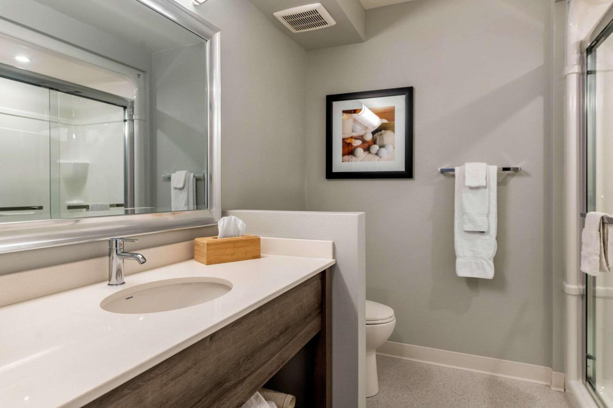 Quality Inn & Suites Amsterdam Fredericton Buitenkant foto