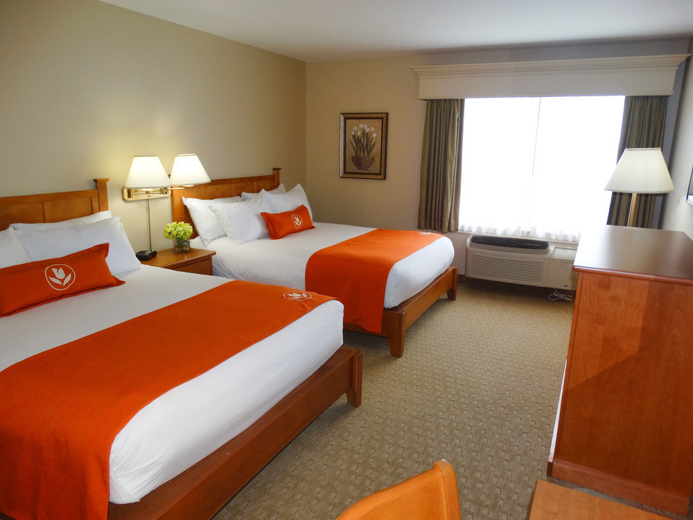 Quality Inn & Suites Amsterdam Fredericton Buitenkant foto