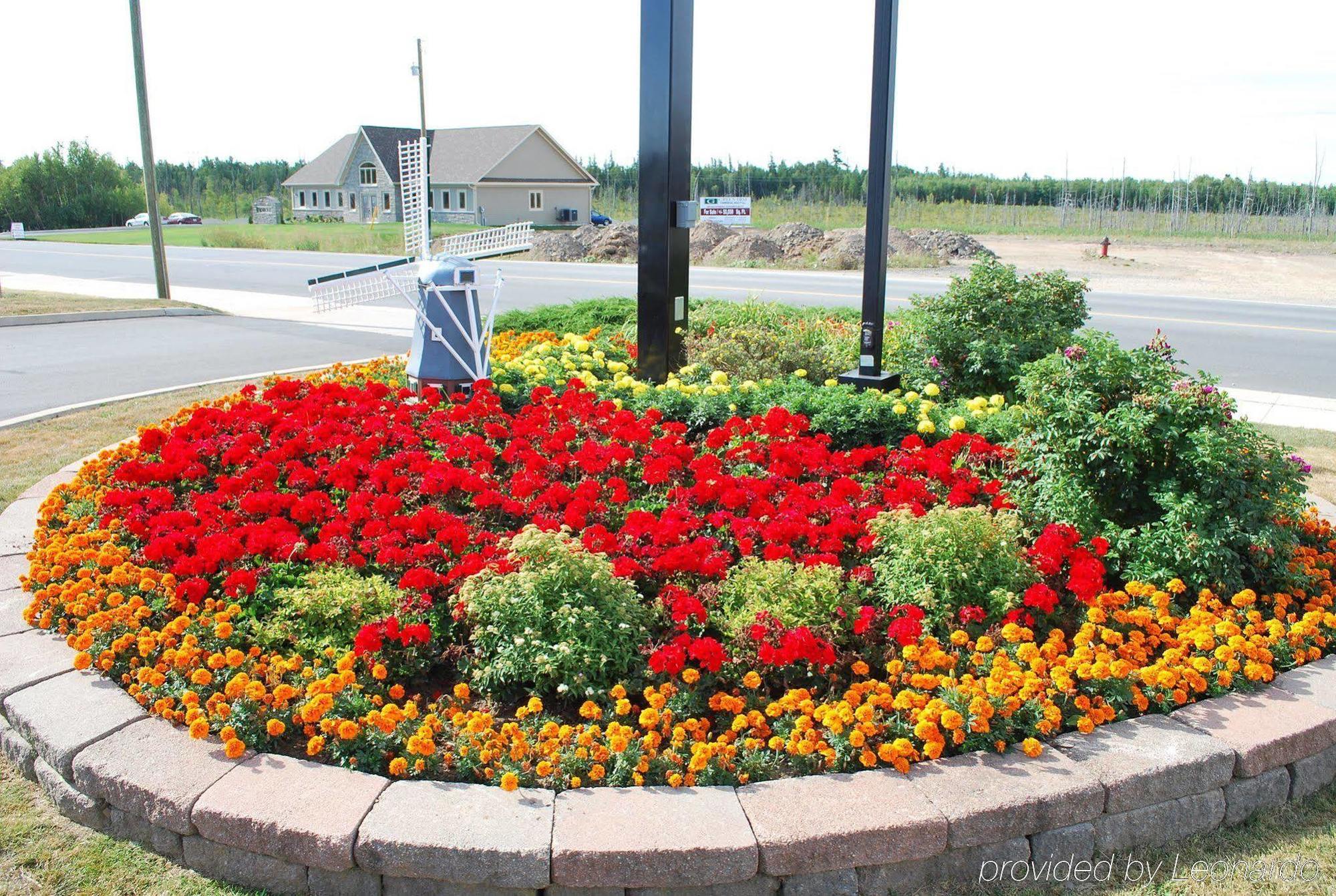 Quality Inn & Suites Amsterdam Fredericton Buitenkant foto